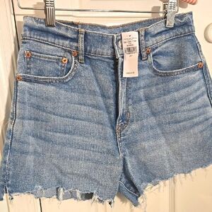 American Eagle Outfitters Light Blue Jean Shorts